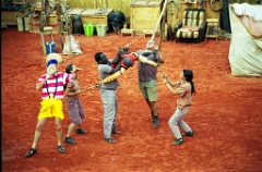 img057 * 1185 x 782 * (824KB)