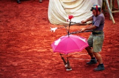 img061 * 1185 x 782 * (819KB)