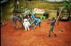 img071 * 1181 x 768 * (844KB)
